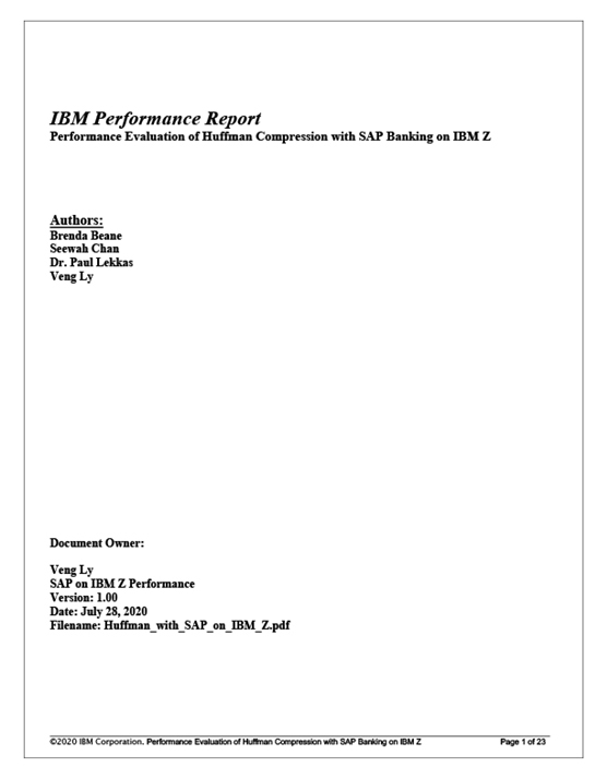 IBM Performance Report