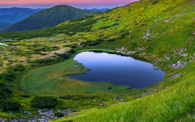 Leadership in the mainframe community: Lessons from Industry Trailblazers