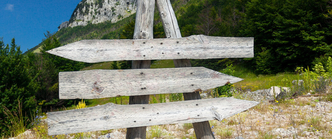 Arcati 2026 | Economics, Cost, and Value