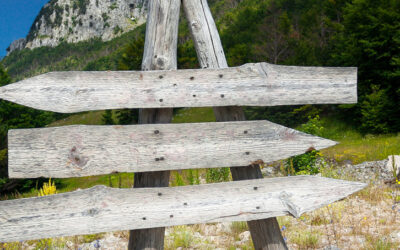 Wrap-Up: 2026 Arcati Mainframe User Survey