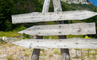 2026 Arcati Survey Results Trivia