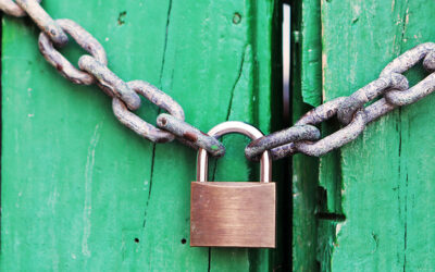 z/OS vs. VSEⁿ: Why More Security Features Don’t Guarantee Better Protection